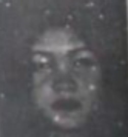 WIDYA AYU LESTARI